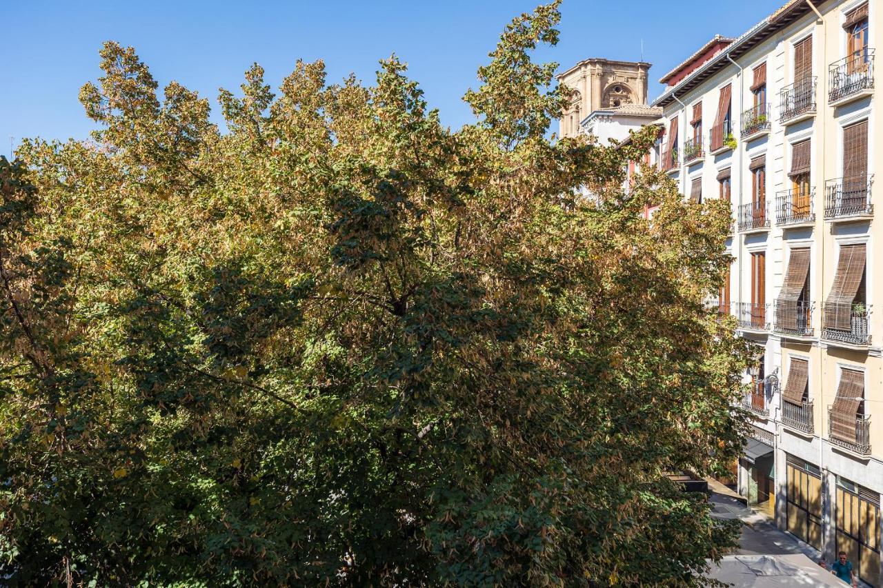 Dreaming Bib Rambla - Free Parking Apartament